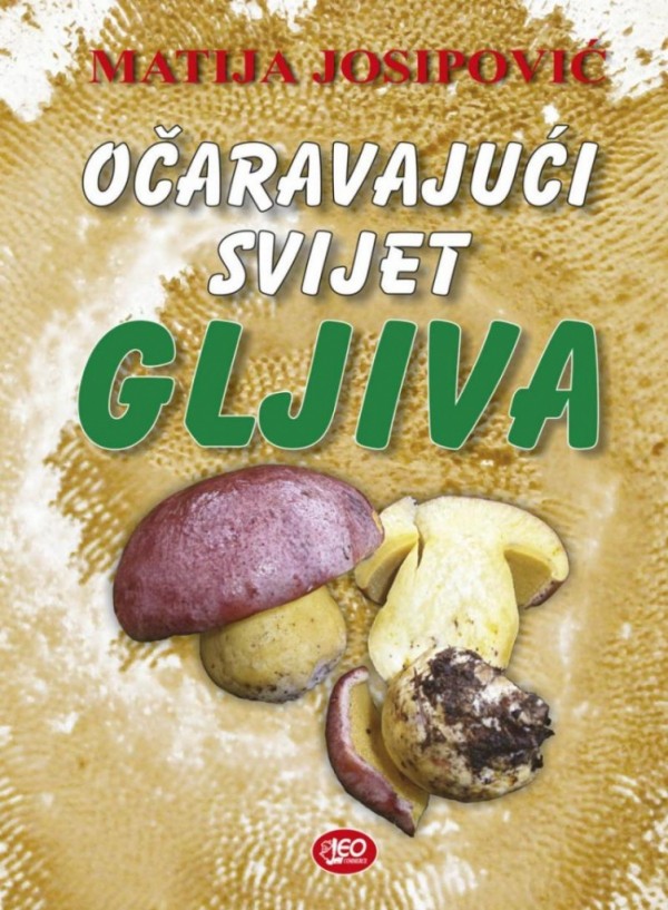 ocaravajuci-svijet-gljiva-1.jpg